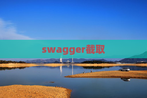swagger截取